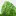 Mysorefigtree.com Favicon