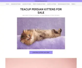 Myteacupkittens.com(Persian Kittens for Sale) Screenshot