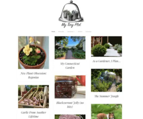 Mytinyplot.co.uk(A blog about vegetable gardening) Screenshot