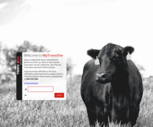 MYtransova.com(MYtransova) Screenshot