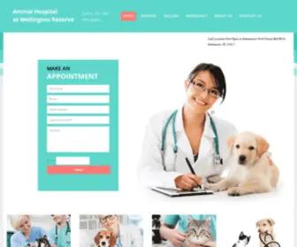 Mywellingtonvet.com(Dog Care Wellington) Screenshot