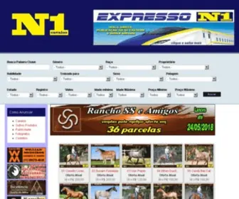 N1Cavalos.com.br(Cavalos) Screenshot