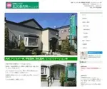 N20Clinic.jp Screenshot
