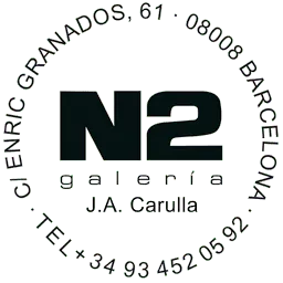 N2Galeria.com Favicon