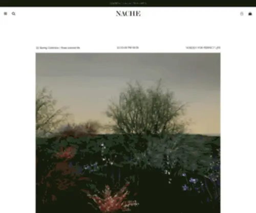 Nache.kr(나체 NACHE) Screenshot