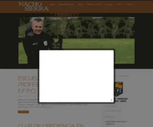 Nachosierra.es(Nacho Sierra) Screenshot