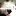 Nadimbakhshov.org Favicon