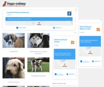 Nadosobaku.ru(Сайт) Screenshot