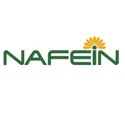 Nafein.com Favicon