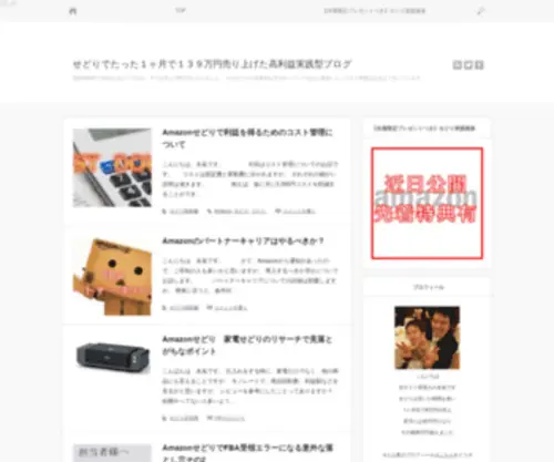 Naga001.info(せどり実践記) Screenshot