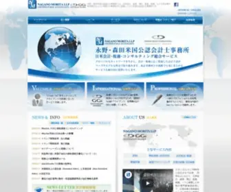 Nagano-Morita.com(米国公認会計士) Screenshot