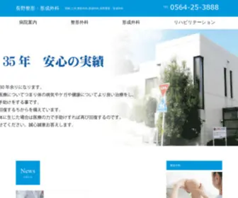 Nagano-Seikei.com(長野整形) Screenshot