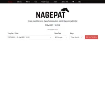 Nagepat.com(Nagepat) Screenshot