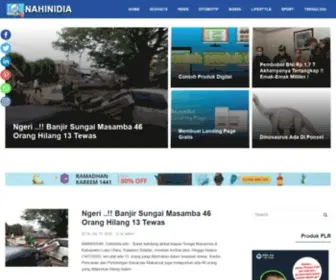 Nahinidia.info(Website Information Technology) Screenshot