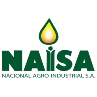 Naisa.com.gt Logo