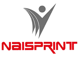 Naisprint.rs Logo