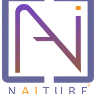 Naiture.org Favicon