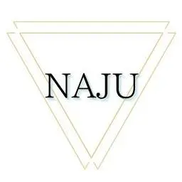 Naju-Ebike.com Logo