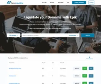Nameliquidate.com(Buy and Finance Domains At Epik.com Domain Name Marketplace) Screenshot