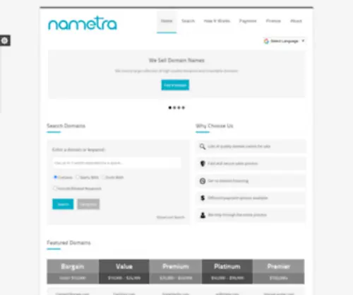 Nametra.com(Domain Name Sales and Services) Screenshot