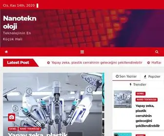 Nanoteknolojimucizesi.com(Nanoteknoloji) Screenshot