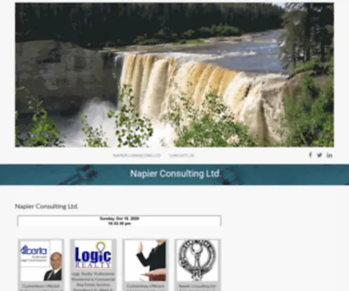 Napier.ca(Napier Consulting Ltd) Screenshot