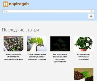 Napirogah.ru(Все о растениях) Screenshot