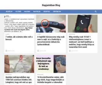 Napjainkbanblog.eu(Napjainkban Blog) Screenshot