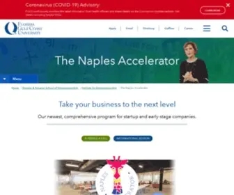 Naplesaccelerator.com(Accelerator Program) Screenshot