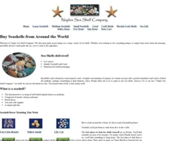 Naplesseashellcompany.com(Seashells for Sale) Screenshot