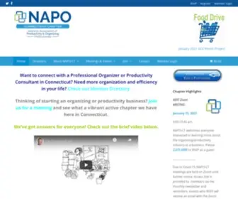 Napoct.com(Productivity Professionals) Screenshot