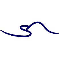 Napolisumisura.com Logo