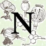 Narcocast.com Favicon