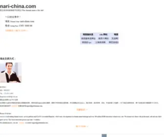 Nari-China.com(Nari China) Screenshot