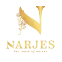 Narjesegy.com Logo