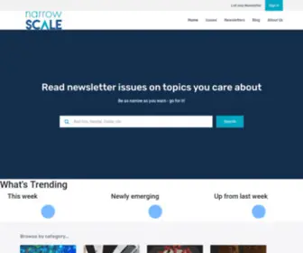 Narrowscale.com(Home Page) Screenshot