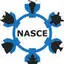 Nasce-Snaec.com Logo
