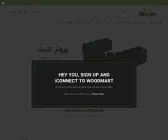 Nasimdent.com(شرکت) Screenshot