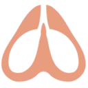 Nasofilters.com Favicon