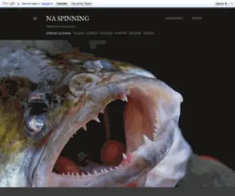 Naspinning.pl(Wędkarstwo) Screenshot