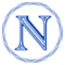 Naspros.com Favicon