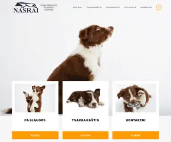 Nasrai.com(Apie mus) Screenshot