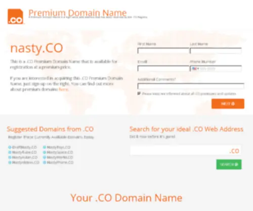 Nasty.co(Purchase this domain) Screenshot