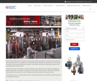 Nasvi.com(North American Safety Valve Industries) Screenshot