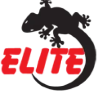 Natationelite.com Logo