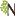 Natexp.com Favicon