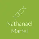 Nathanaelmartel.net Favicon