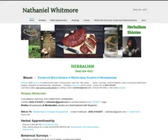 Nathanielwhitmore.com(Work of Nathaniel Whitmore) Screenshot