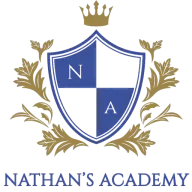 Nathansacademy.com.ng Favicon