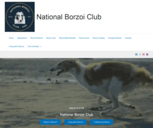 Nationalborzoiclub.com(Nationalborzoiclub) Screenshot